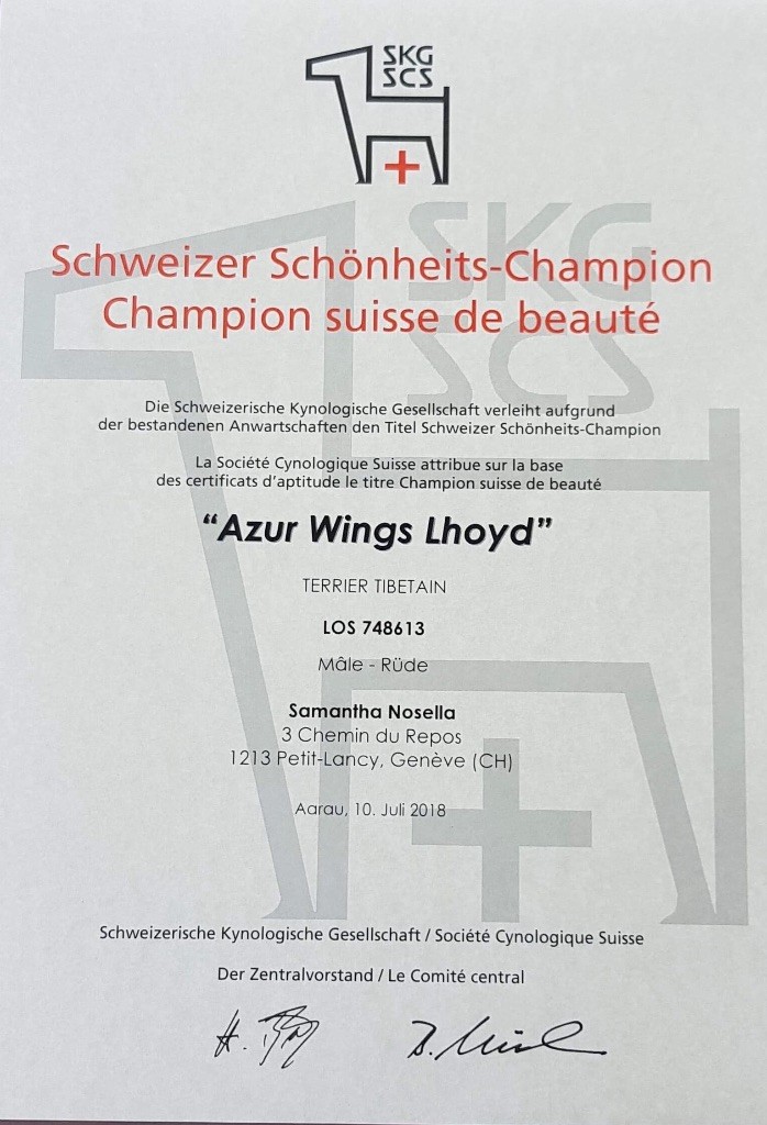 Azur Wings - AZUR WINGS LHOYD - 3 ans - CHAMPION de BEAUTE SUISSE