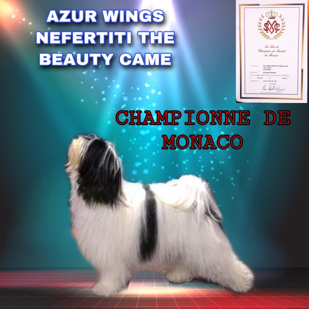 Azur Wings - TWILLY CHAMPIONNE DE MONACO