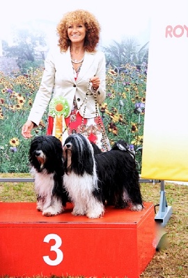 Azur Wings - 3ème place PODIUM BEST IN SHOW COUPLES