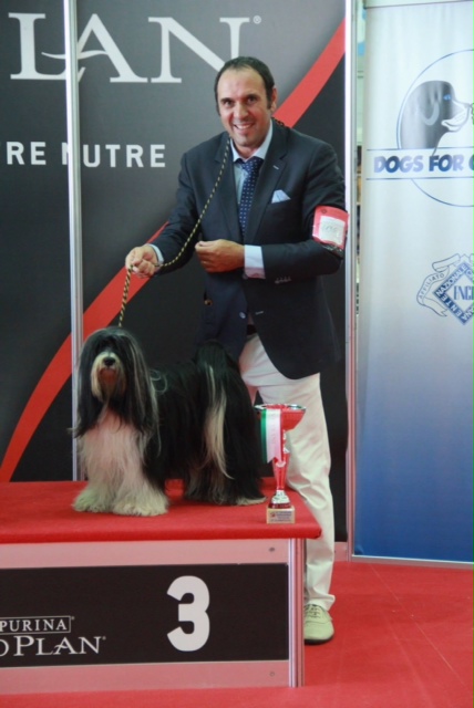 Azur Wings - EXPOSITION INTERN DE TURIN 2014