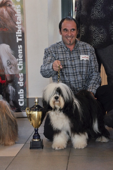 Azur Wings - JOURNEE TIBETAINE - Pierrefeu 2014