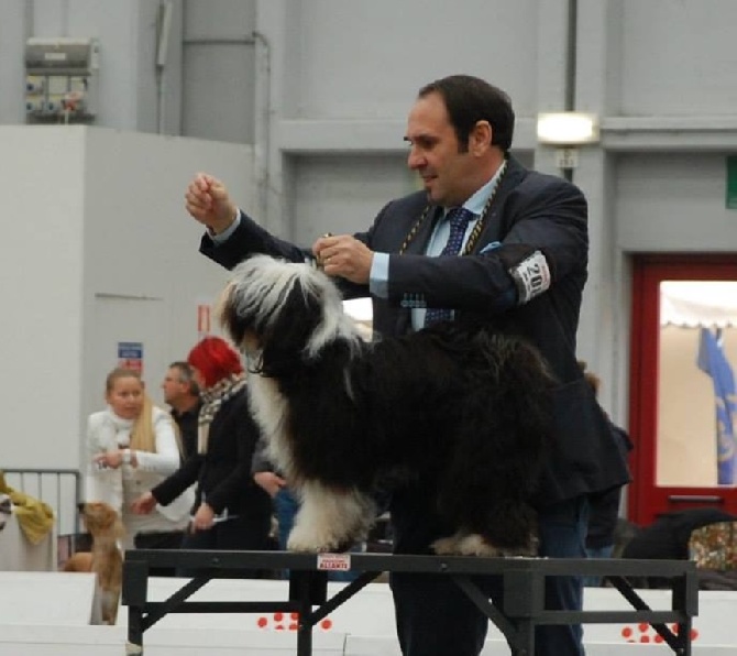 Azur Wings - EXPO INTERN DE REGGIO EMILIA