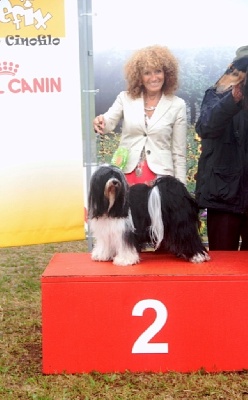 Azur Wings - 2ème place BEST IN SHOW VETERAN