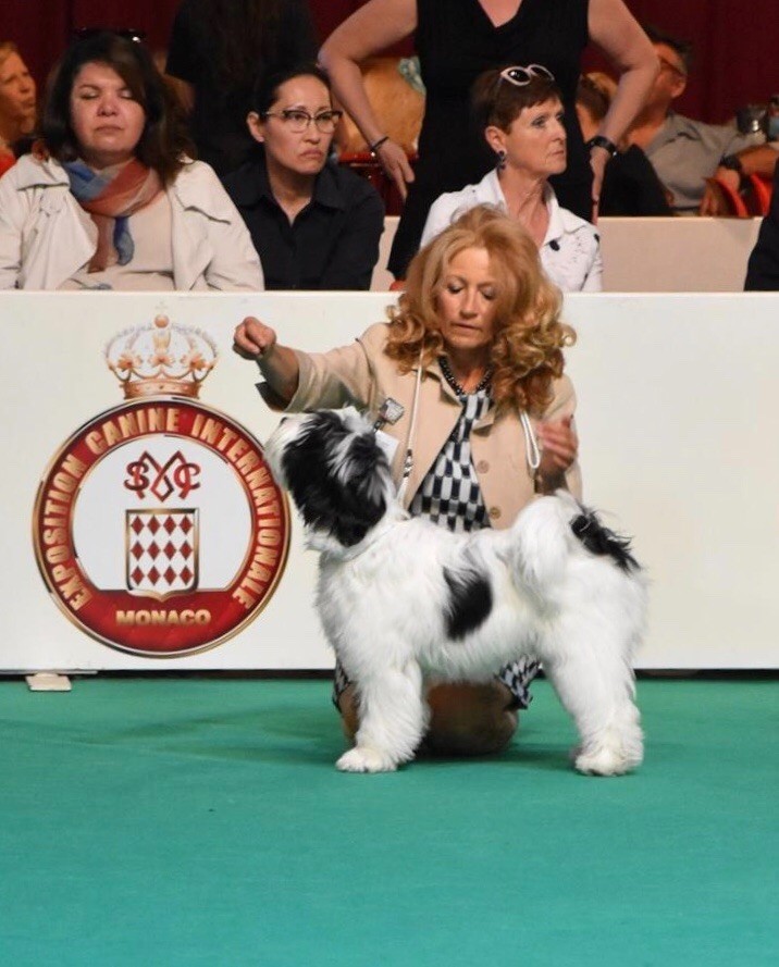 Azur Wings - BEST IN SHOW PUPPY - EXPOSITION INTERNATIONALE MONACO 2018