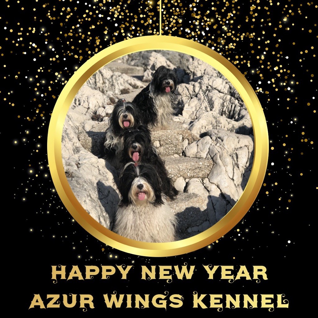Azur Wings - BONNE ANNEE 2020